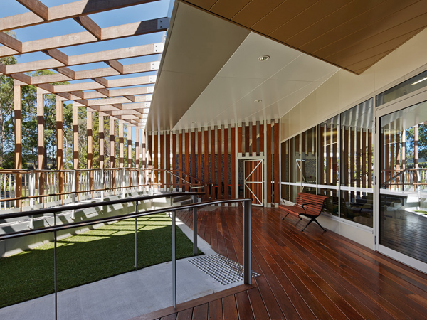 Grey Ironbark Timber